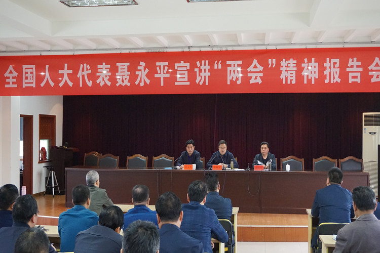 世业镇人大组织召开全国人大代表聂永平宣讲两会精神报告会